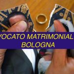 divorzio giudiziale Bologna
